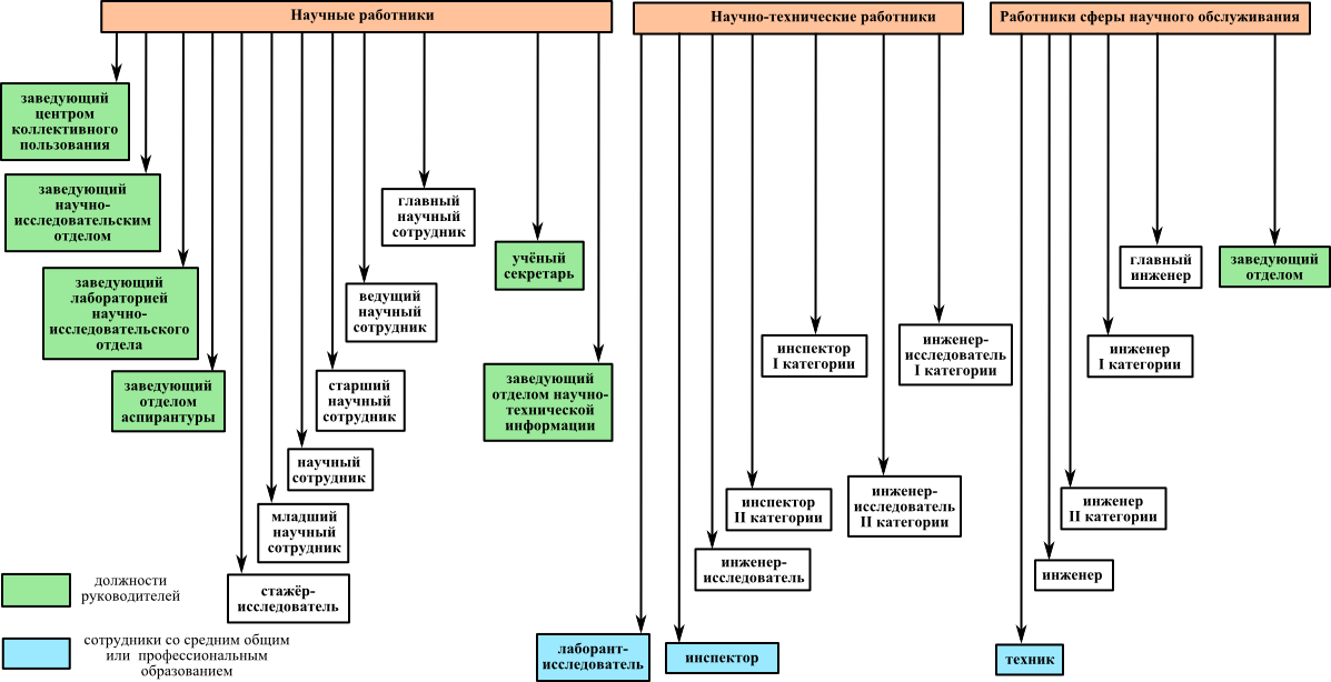 Упрощенная схема иерархической структуры должностей работников, связанных с научной деятельностью