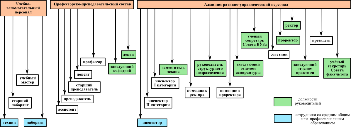 Упрощенная схема иерархической структуры должностей работников, связанных с образовательным процессом